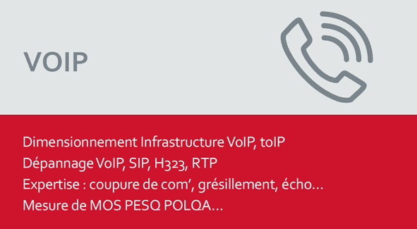VOIP Dimensionnement Infrastructure VoIP, toIP Dépannage VoIP, SIP, H323, RTP Expertise : coupure de com’, grésillement, écho… Mesure de MOS PESQ POLQA…