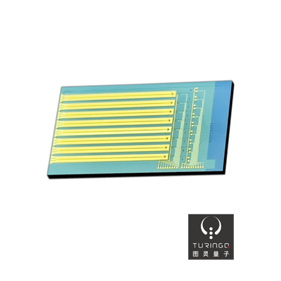 Puce modulatrice TFLN multi-canaux avec intégration fonctionnelle sur puce - <br><b>1.6T TFLN Modulator Chip - TURINGQ</b>